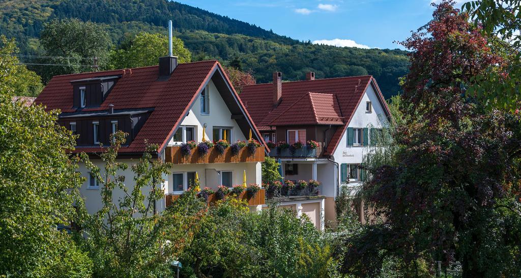 Haus Am Blauenbach Διαμέρισμα Schliengen Εξωτερικό φωτογραφία
